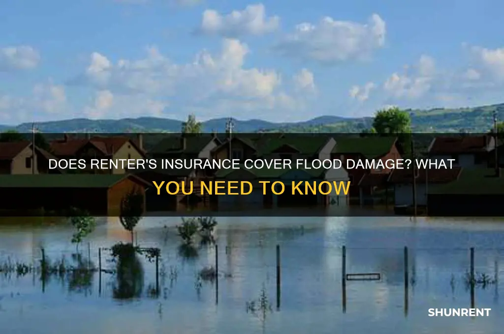 does renter
