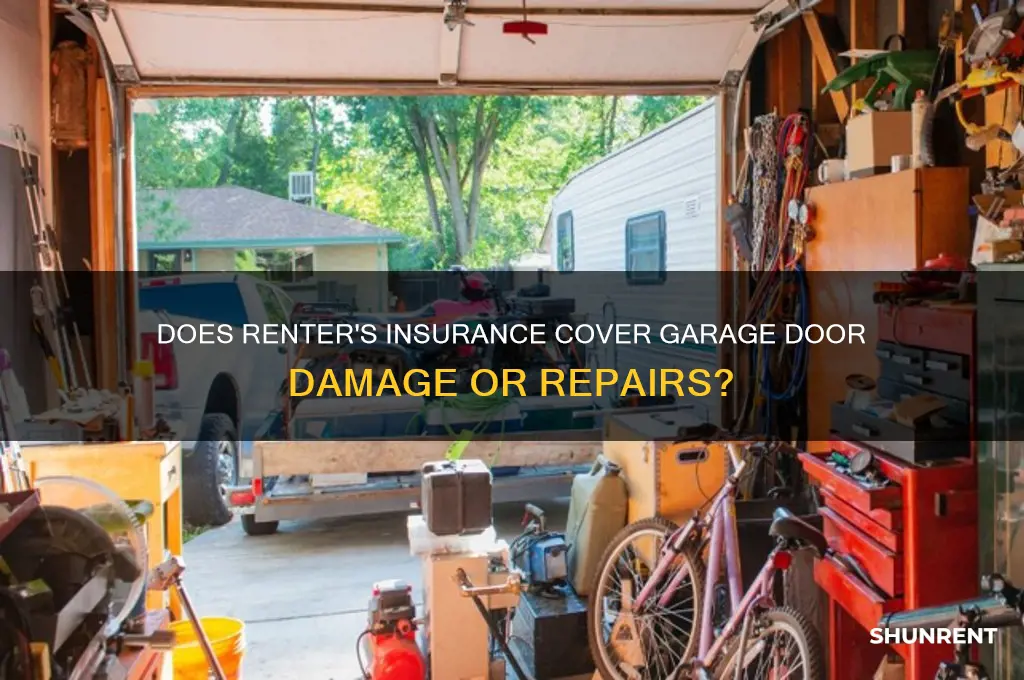 does renter