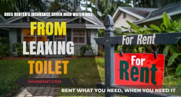 Renter's Insurance: Leaky Toilet and High Water Bills Covered?