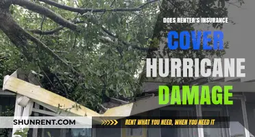 Does Renter's Insurance Cover Hurricane Damage? What You Need to Know