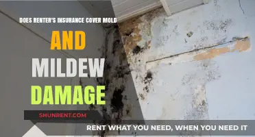 Renters Insurance: Mold and Mildew Damage Covered?