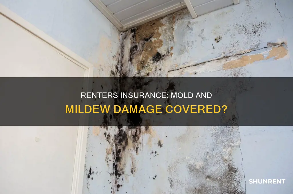 does renter