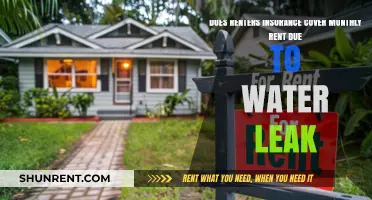 Renters Insurance: Can It Cover Rent After Water Leaks?