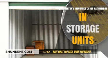 Renter's Insurance: Does it Cover Rat Damage in Storage Units?