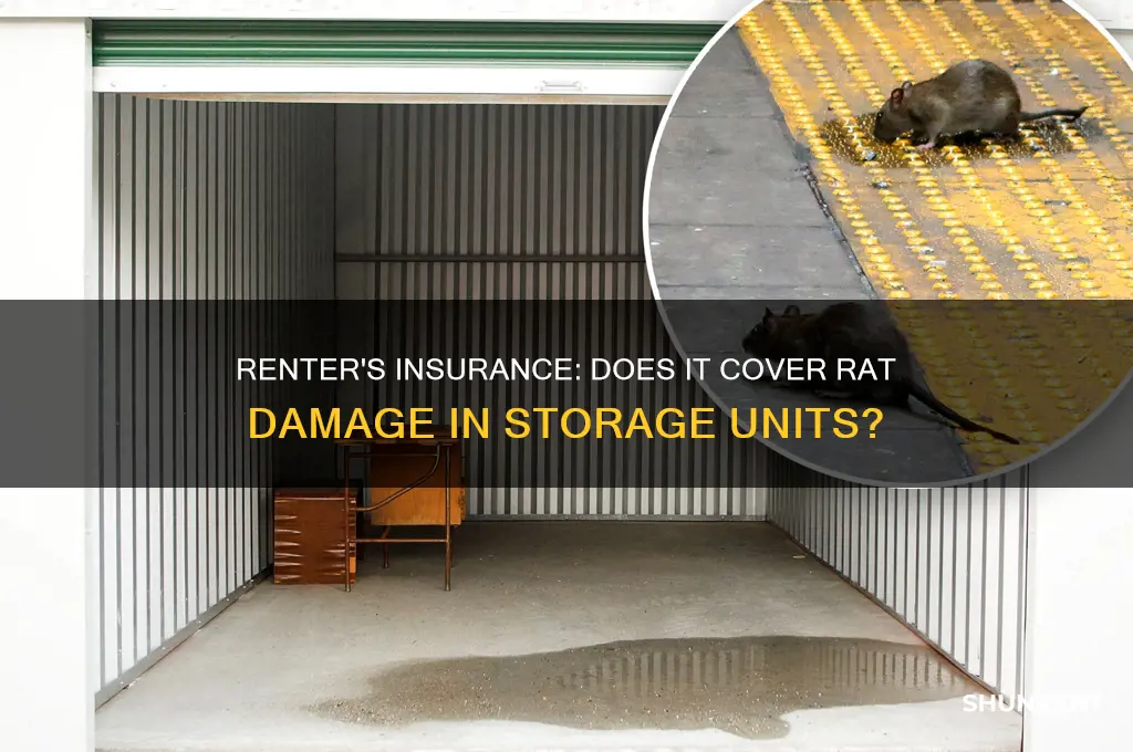 does renter