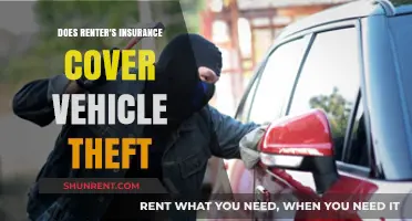 Does Renter's Insurance Cover Vehicle Theft? What You Need to Know