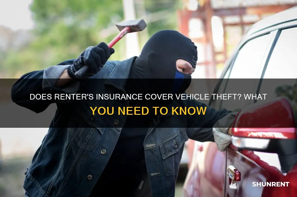 does renter