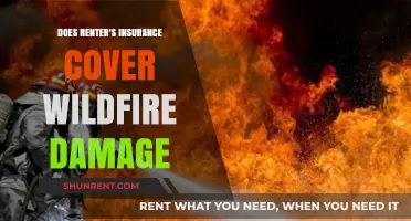 Does Renter's Insurance Cover Wildfire Damage? What You Need to Know