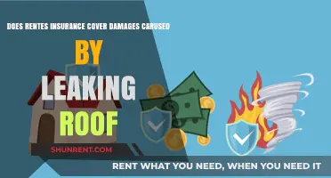 Renter's Insurance: Leaking Roof Damage Covered?