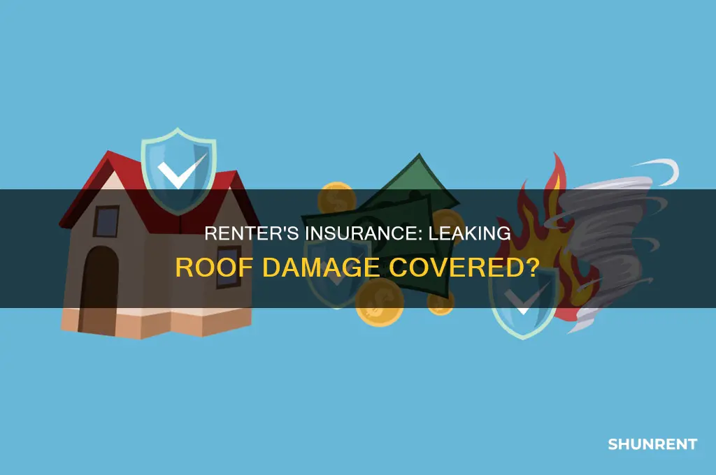 does rentes insurance cover damages carused by leaking roof
