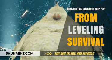 Renting Chocobos: Does It Affect Survival Skill Leveling?