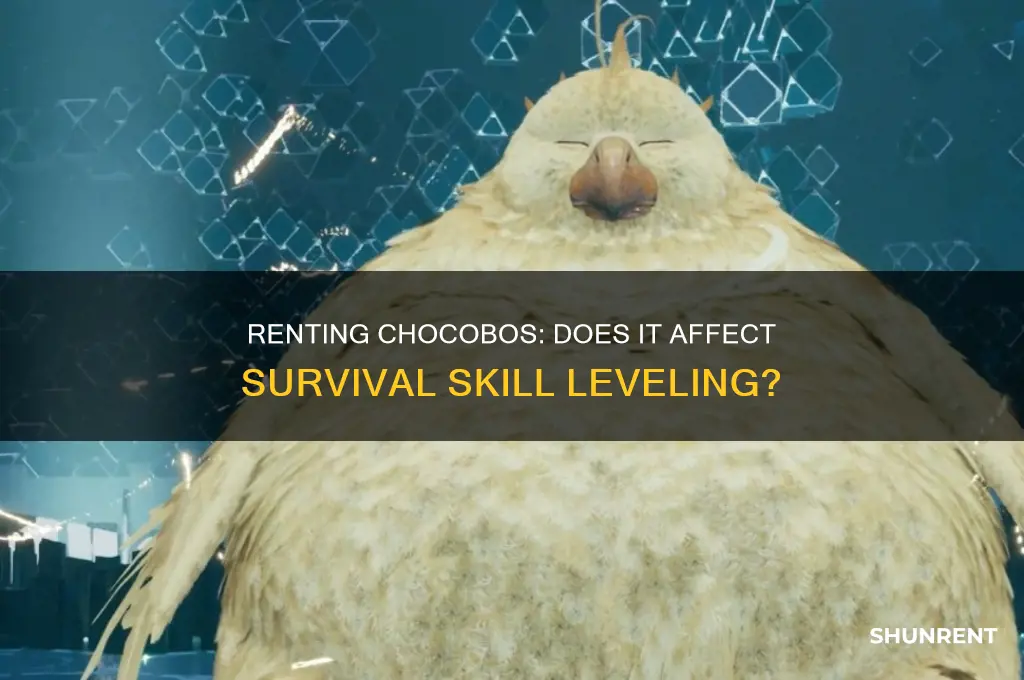 does renting chocobos keep you from leveling survival