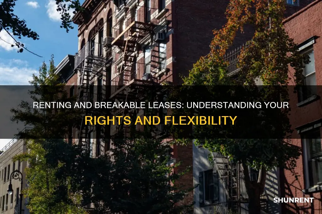does renting come with a breakable lease