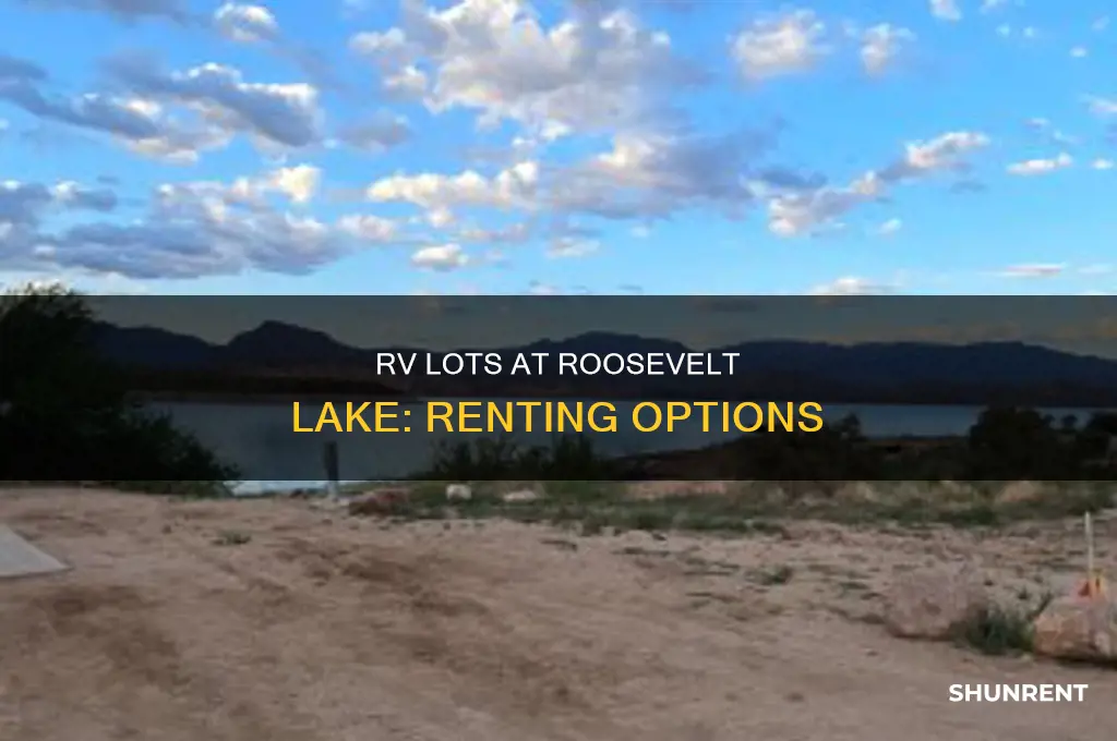 does roosevelt lake have rv lots for rent