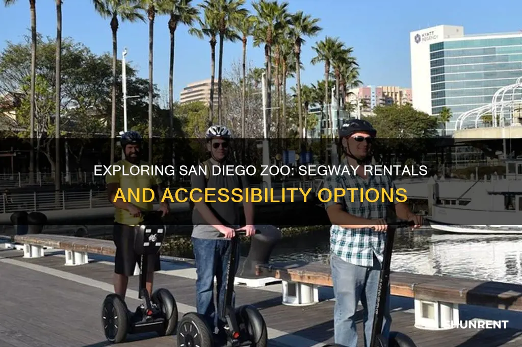 does san diego zoo rent out segways