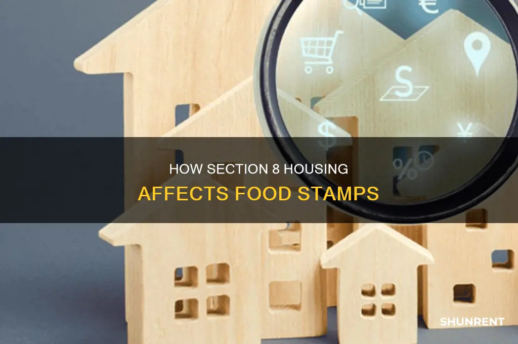 does section 8 rent lower food stamp amount