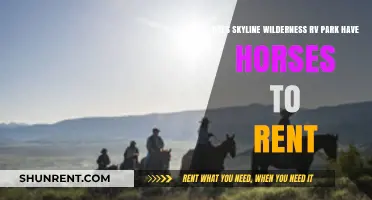 Horseback Riding at Skyline Wilderness RV Park