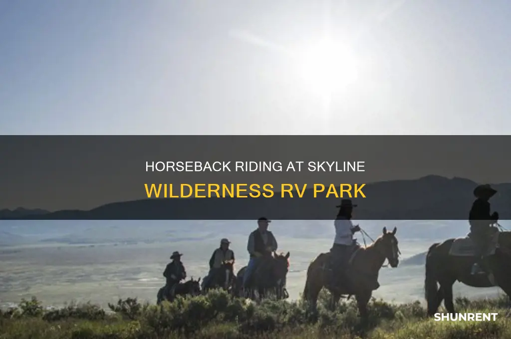 does skyline wilderness rv park have horses to rent