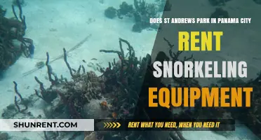 Snorkeling Gear: St. Andrews Park Rentals