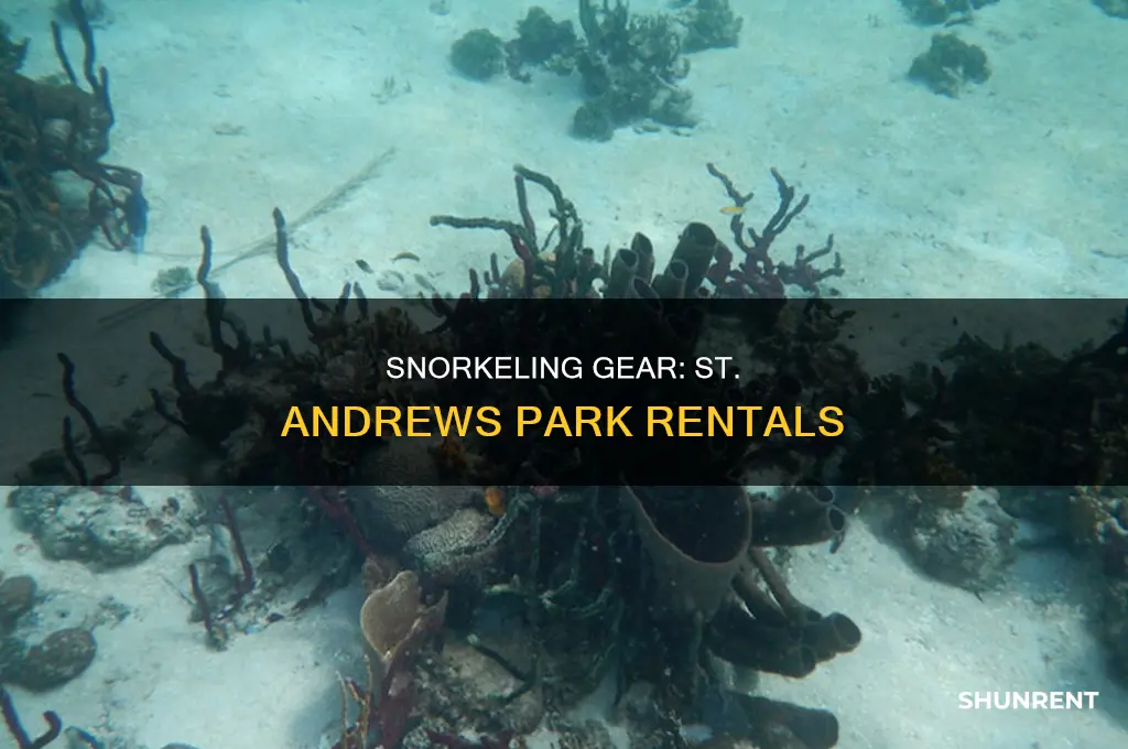 does st andrews park in panama city rent snorkeling equipment