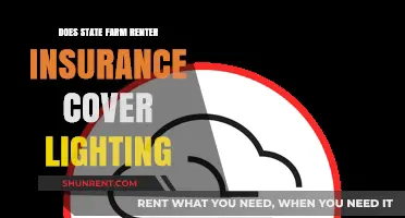 Does State Farm Renter's Insurance Cover Lightning Damage?