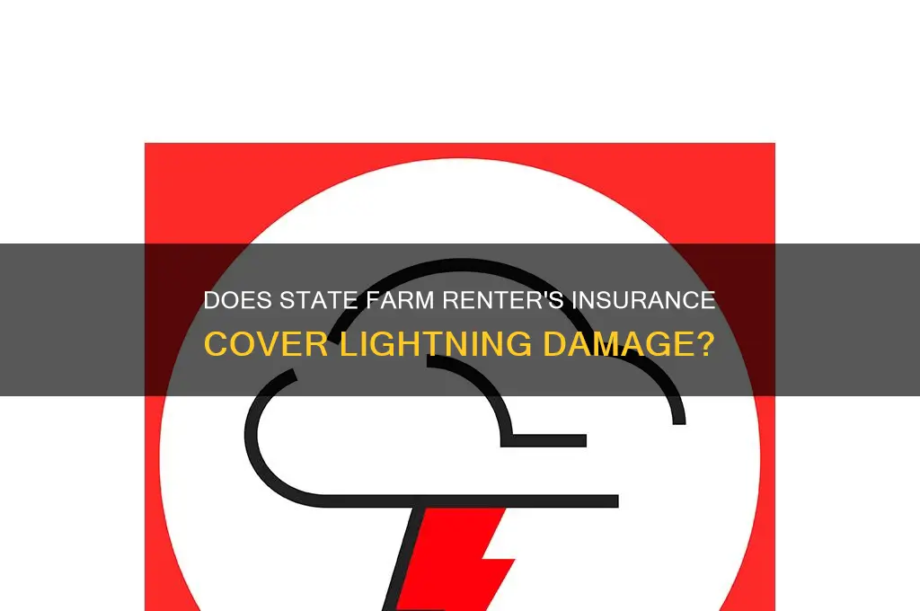 does state farm renter insurance cover lighting