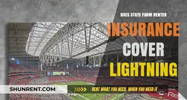 Does State Farm Renter's Insurance Cover Lightning Damage? Find Out