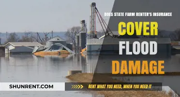 State Farm Renter's Insurance: Does it Cover Flood Damage?