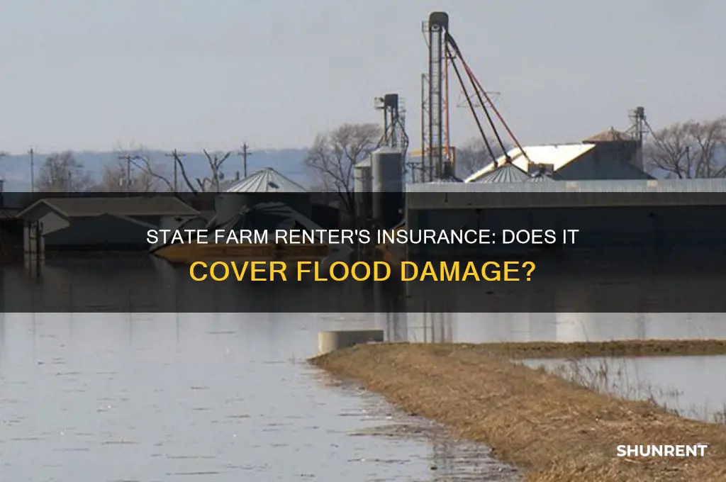 does state farm renter