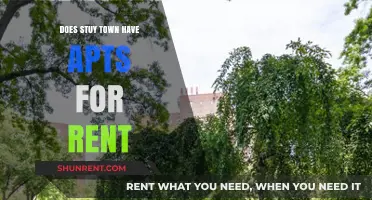 Stuy Town Rental Options: Are Apartments Available for Rent?