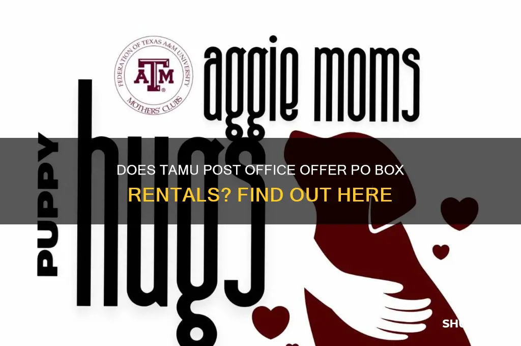 does tamu post office rent po box