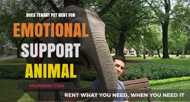 Pet Rent for Emotional Support Animals: What Tenants Should Know
