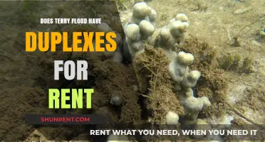 Terry Flood Duplex Rentals: Availability and Options Explained