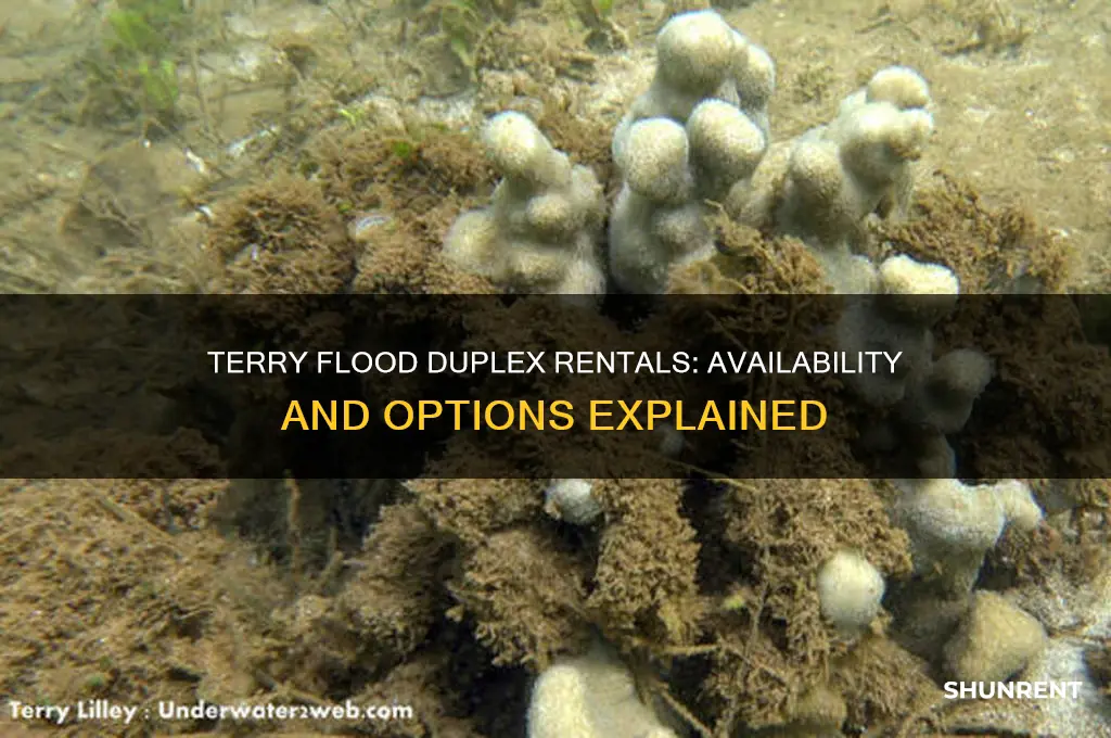 does terry flood have duplexes for rent