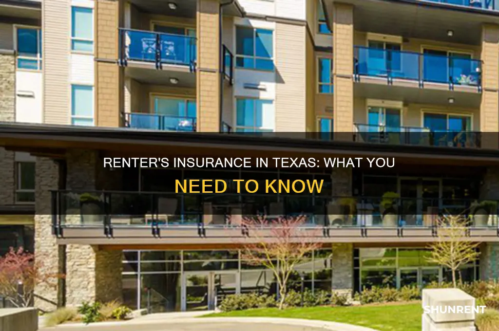 does texas require you to have renter
