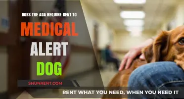 Alert Dogs: Renting Rights Under the ADA