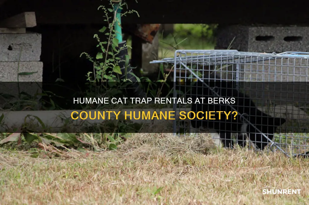 does the berks county humane society rent humane cat traps