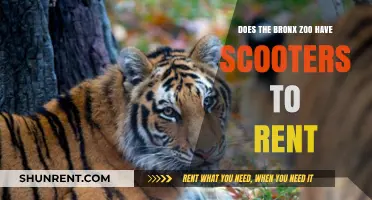 Scooters at the Bronx Zoo: Rent or Own?
