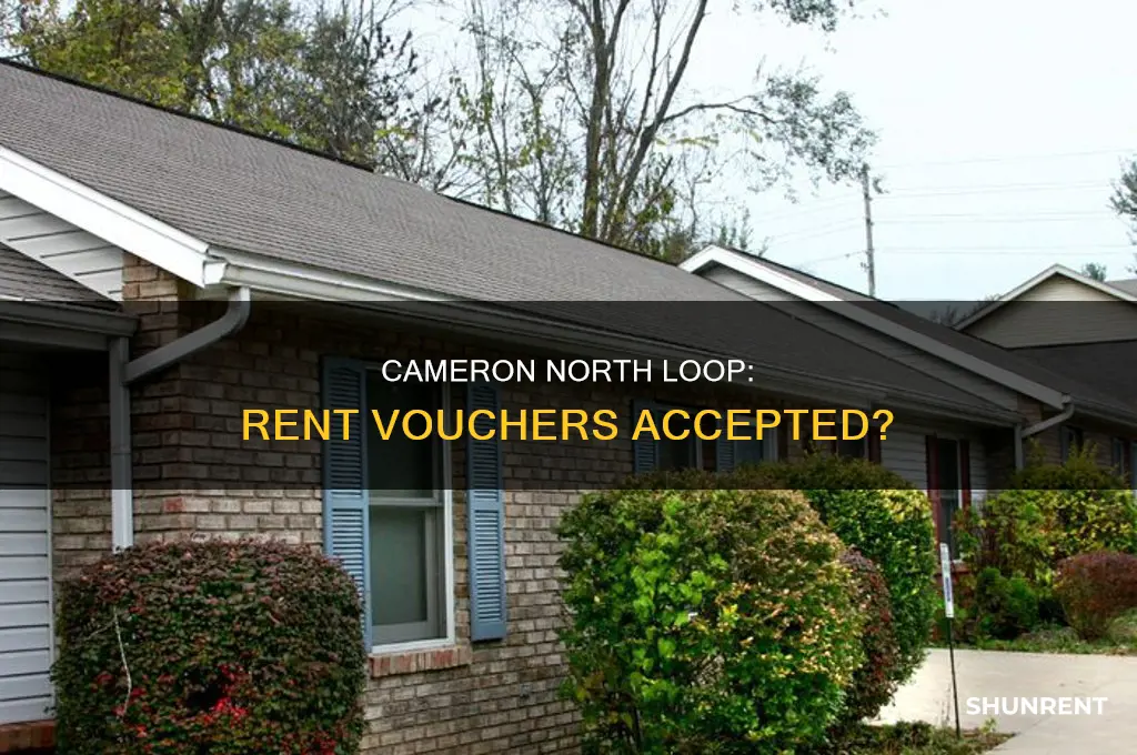 does the cameron north loop take rent vouchers