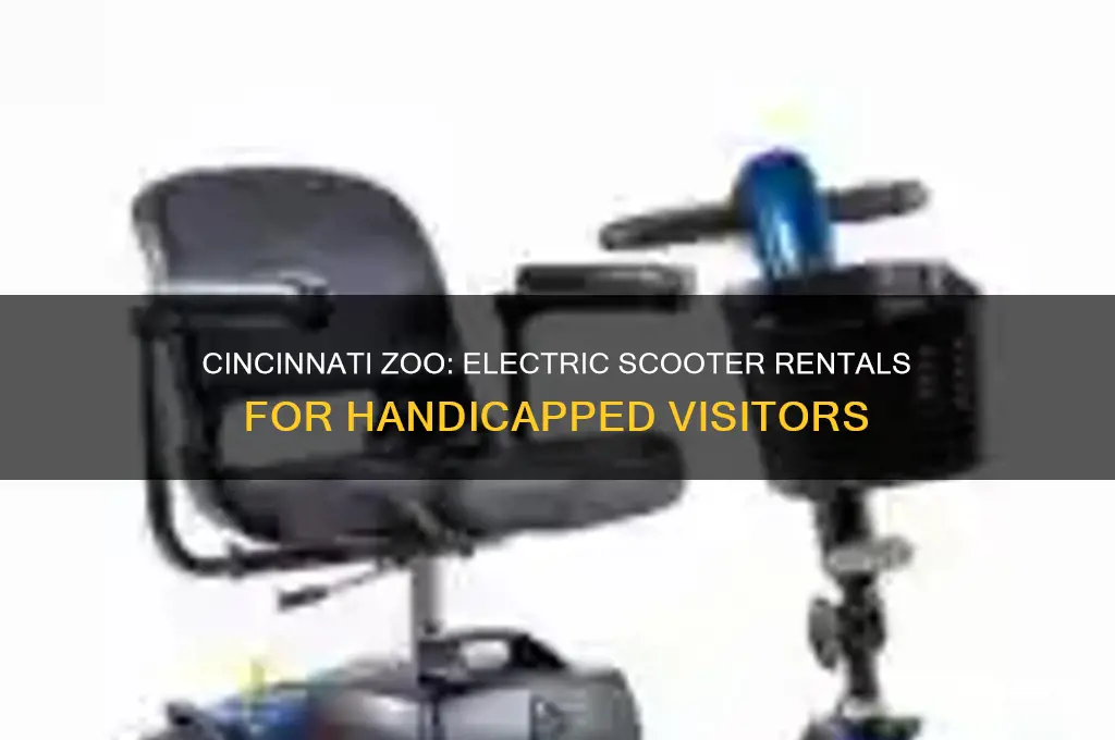 does the cincinnati zoo rent electris scoters for handicapped