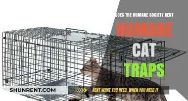 Humane Society: Renting Humane Cat Traps for Safe Capture