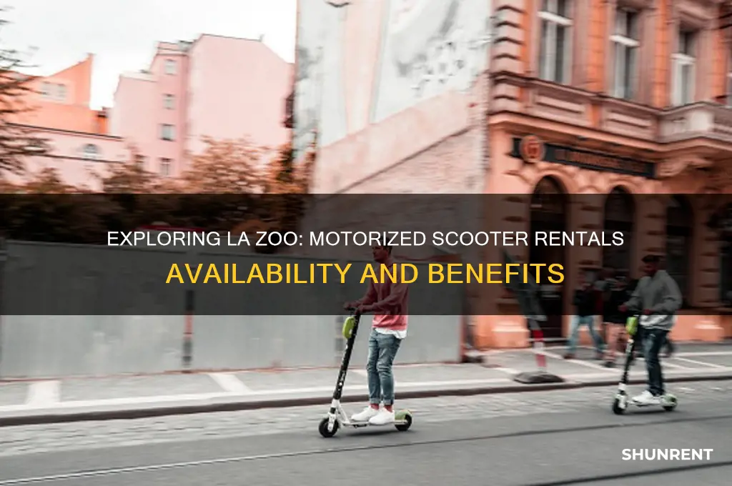 does the la zoo rent motorized scooters