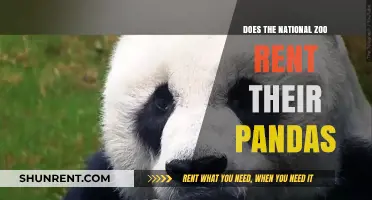 Do National Zoos Rent Pandas? Exploring the Giant Panda Loan Program