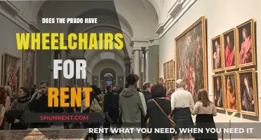 Prado Museum Wheelchair Rental: Accessibility Options for Visitors