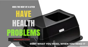 Litter Box Health Hazards: What You Need to Know