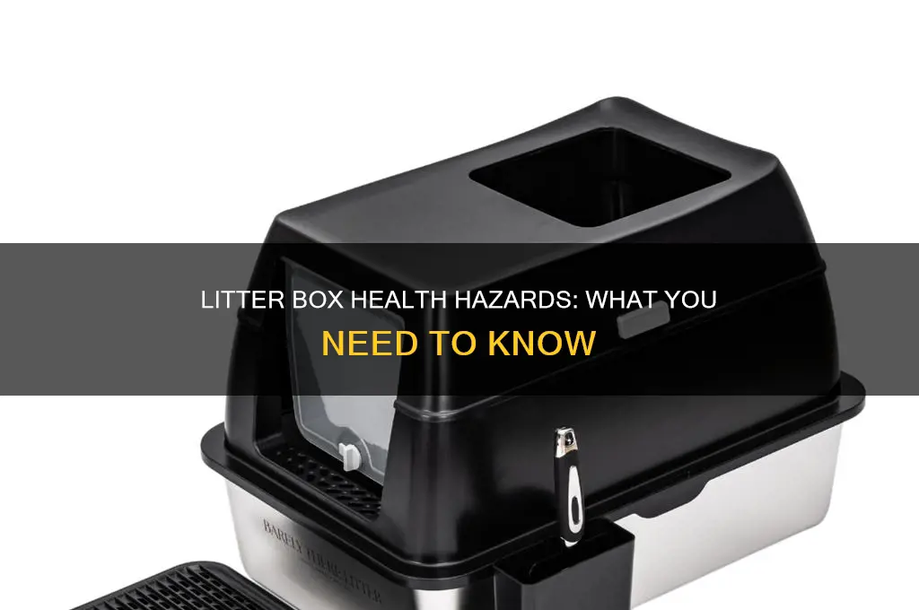 does the rent of a litter have health problems
