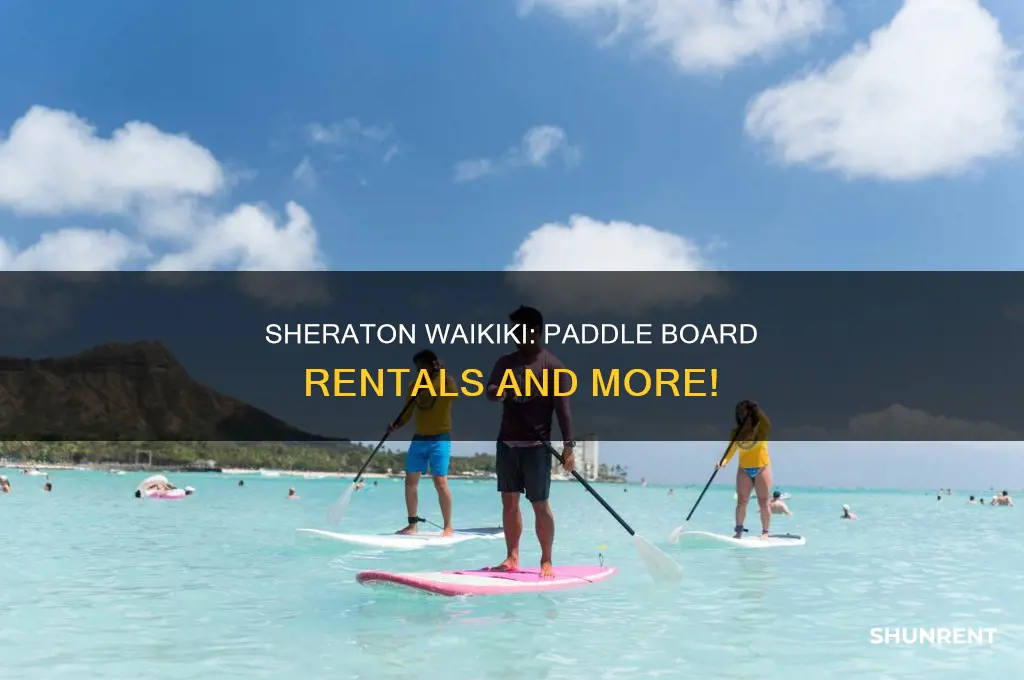 does the sheraton hotel waikiki rent paddle boards