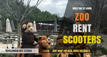 St. Louis Zoo Scooter Rentals: Availability and Visitor Options Explained