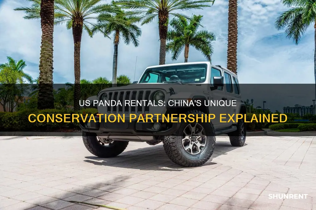 does the us rent pandas from china