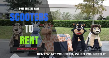 Zoo Scooter Rentals: Are They Available for Visitors to Use?